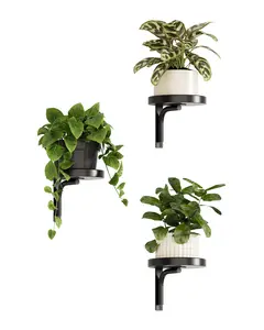 Bamworld 3 Pcs Wall Plant Holder Wall Mounted Plant Holder Hanging Planters for Indoor Plants Hanging Plant Holder Window Plant Shelves Decor Black