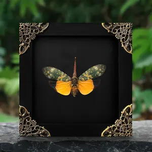 Lanternfly Dried Bug Cicada Frame Wall Art Hanging | Gothic Home Decor | Witchy Room Display | Oddities & Curiosities Decor