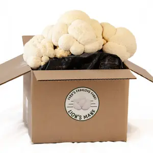 Ferg's Fabulous Fungi, Fruiting Grow Kit, 1 Spore filled block, Grow fresh mushrooms at home in 3 steps