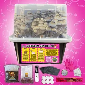 All Inclusive Mushroom Monotub Kit for Mycology - Durable Food-Grade Plastic, Clear Walls, Ventilation Ports, Includes 3lb Grain, 5lb Substrate, Filters, Gloves, Mist Bottle, Alcohol Prep Pad