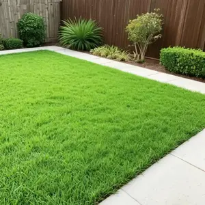 20000 Pcs Fast-Growing Grass Seed for Shade, High Germination Rate for Year-Round Growth, Perfect for Golf Courses & Turf, Premium Grass Seeds Grown in USA
