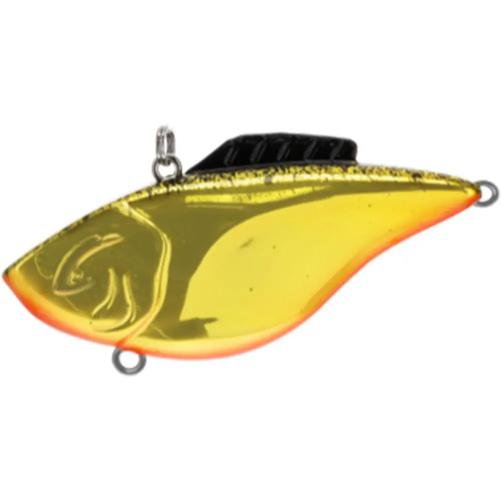 Gold Black Splatter W/Orange Belly