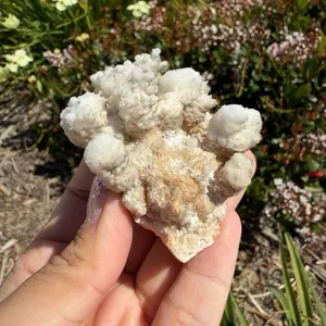 Botryoidal Druzy Calcite UV Reactive Phosphorescent Crystal Cluster,A466