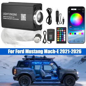 1000PCS 2M Car Headliner Star Light Fiber Optic Ceiling Light For Ford Mustang Mach-E 2021-26