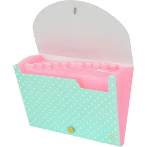 File Folders Organizer with 13 Pockets Accordion Expanding Folder For Documents Receipt Document Paper Pocket Filing Products Accordian Important expandable holder files alphabetical Labels Letter