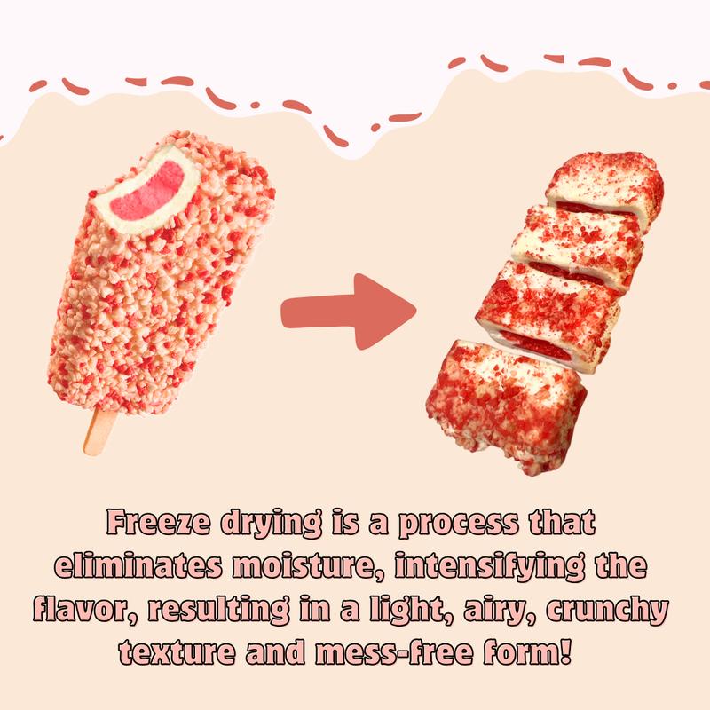 G-BOX Freeze Dried Ice Cream | Crunch Strawberry Shortcake Ice Cream Bites - Perfect for Camping, Outdoor, and Party - Air-tight Sealed in a Deli Container