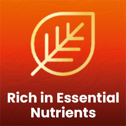 4-in-1 Batana Oil (Scalp & Hair Oil) - Arctic Beauty Hair Growth Support with Rosemary Oil, Castor Oil, & Pumpkin Seed Oil - (5 oz) 4-in-1 Batana Oil (Scalp & Hair Oil) - Arctic Beauty Hair Growth Support with Rosemary Oil, Castor Oil, & Pumpkin Seed Oil - (5 oz)