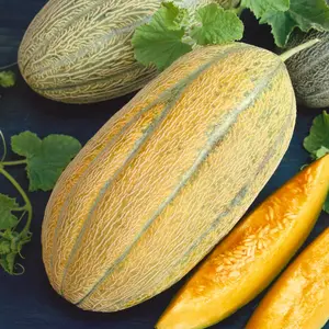 Banana Melon Seeds (Cucumis melo) – Unique Heirloom Variety, Sweet, Aromatic Flesh with Banana-Like Flavor, Perfect for Fresh Eating – 10+ Seeds