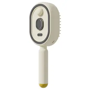 Electric Spray Air Cushion Massage Comb, Self-Cleaning Anti-Tangle Hair Brush