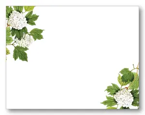 Hydrangea Flat Card Set