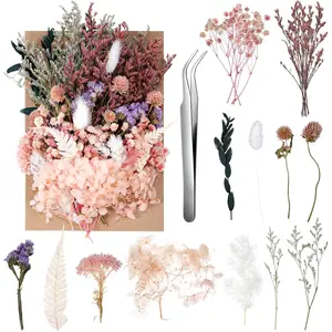 Real Dried Flowers, Natural Dry Flowers Mixed Natural Pressed Flowers Flores Secas Dried Florals for Crafts,Resin,Candle Making (Multicolor 2)