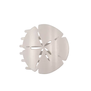 Sand Dollar Large Flat Hair Clip