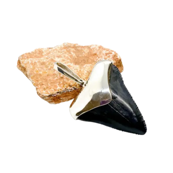 Megalodon tooth sterling silver pendant