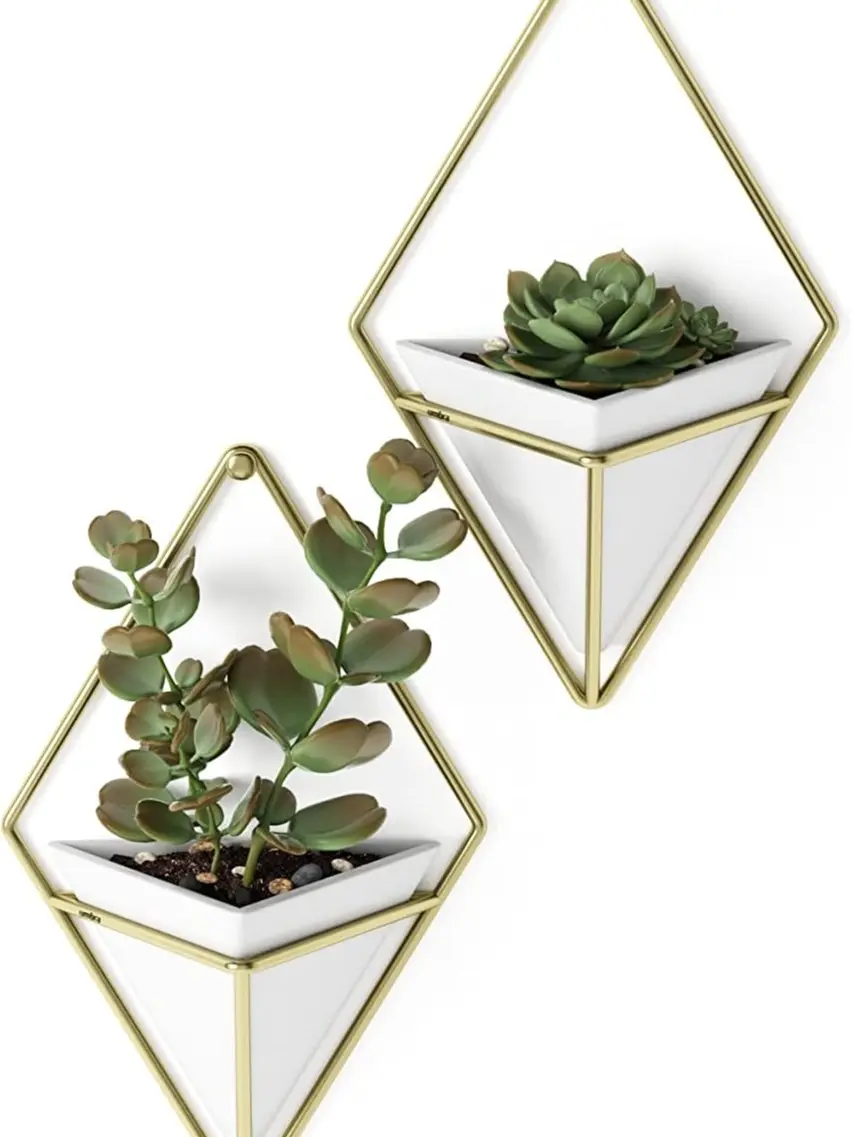 Trigg Hanging Planter Vase Wall Decor, Set of 2 Pots Containers for Succulents, Cactus, Faux Plants, and More, Small, White/Brass
