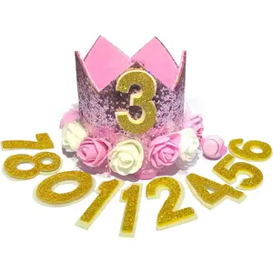 Dog Birthday Hat Adjustable Reusable Crown for Dogs Cats Puppy Kitten Birthday Party Headband with Numbers(Pink)