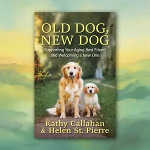 Old Dog, New Dog: Supporting Your Aging Best Friend and Welcoming a New One
