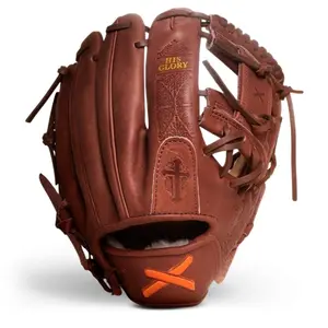 bible glove