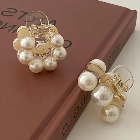 Minimalist Temperament Faux Pearl Decorated Hair Claw (2pcs/set), Elegant Exquisite Hair Claw, Fashionable Hair Accessories for Women & Girls, Hair Clip, Hairpin, Hairclips, Hair Claws Set
