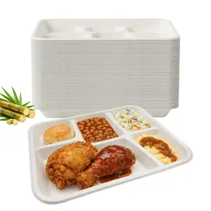 FPN Plates 5-Compartment 11 X 9.5 Inch Disposable Plates – Sugarcane Fiber, Biodegradable & Compostable, Paper Plates for Meals, Catering, School Lunch, Microwave & Freezer Safe