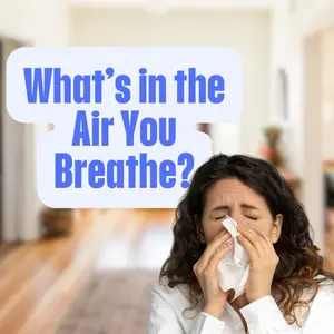 Indoor Air Quality & Mold Test Kit - Essential Tool for Indoor Air Quality Monitoring and Mold Detection