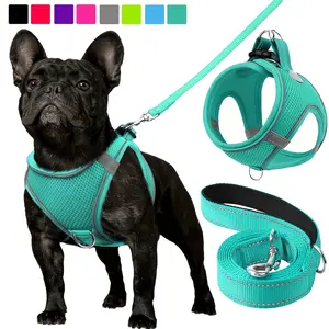 Dog walking harness set, reflective padded nylon leash, breathable mesh chest harness and leash suitable for small and medium-sized dogs