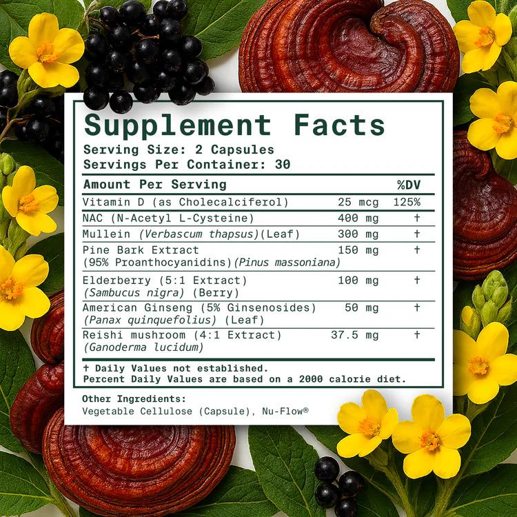 Betterbrand Mullein Mucus Detox Capsules with NAC (60 Capsules) | Vitamin D, Elderberry, Ginseng, Mullein, and Reishi Mushroom | for Lung Health, Allergy, Sinus, and Mucus Relief