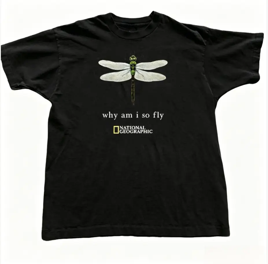 90s Inspired Dragonfly Graphic Baby Tee, Women's Casual Short Sleeve Shrunken Fit 100% Cotton T-Shirt, Shortsleeve, Round Neck, Tshirt, Streetwear, Fitted