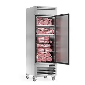 Coolski 27" W Commercial Freezer, 19.32 Cu.ft Single Solid Door Stainless Steel Reach-in Freezer