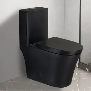 WinZo WZ5022B Elongated One Piece Toilet Dual Flush with 16" Standard Seat Height For Modern Bathroom Matte Black