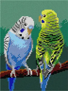 Needlepoint canvas for halfstitch without yarn  Budgerigar 3578F