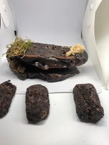 Small Desert Reptile Magnetic Rock Ledges For Terrariums And Cages