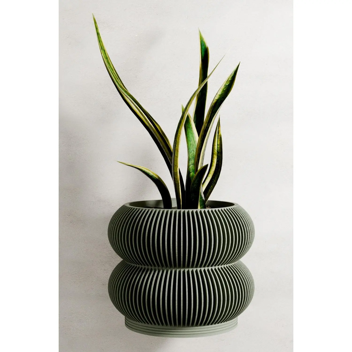 Wall Planter - Double BUBBLES