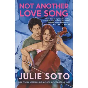 Not Another Love Song by Julie Soto [Paperback Book]