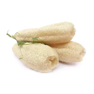 Luffa - Loofah Sponge - 100% biodegradable, clean, natural, sustainable  exfoliator & scrubber
