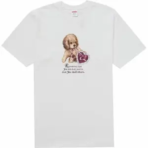 Supreme DUST tee Menswear
