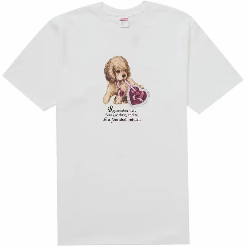 Supreme DUST tee Menswear