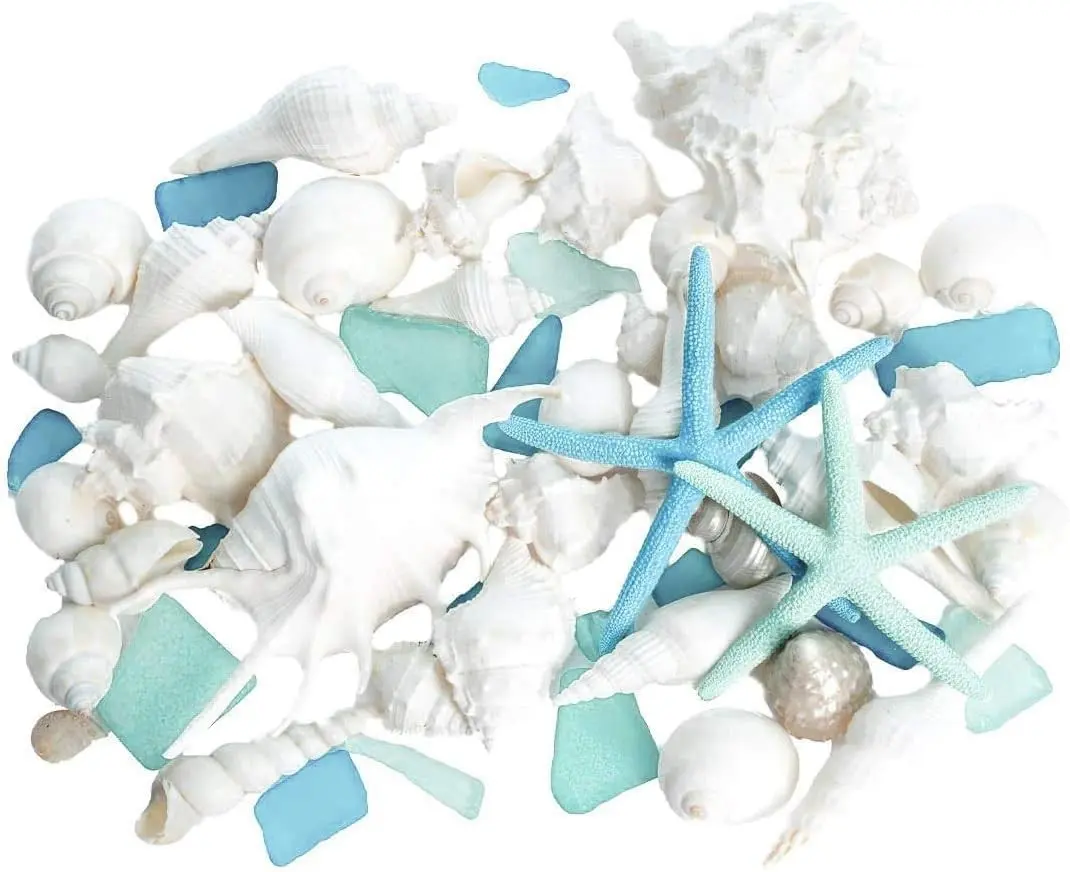 Sea Shells - White Real Mixed Beach Seashells (1lb) with Starfish & Sea Glass - Shells for Crafts - Ocean Decor - Beach Party Decorations - Seashell Decor - Large Shells Crafts