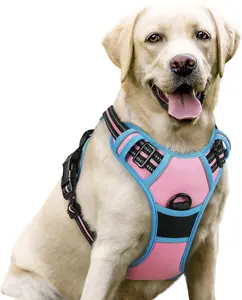 rabbitgoo Dog Harness, No-Pull Pet Harness with 2 Leash Clips, Adjustable Soft Padded Dog Vest, Reflective No-Choke Pet Oxford Vest with Easy Control Handle... small medium pet collar