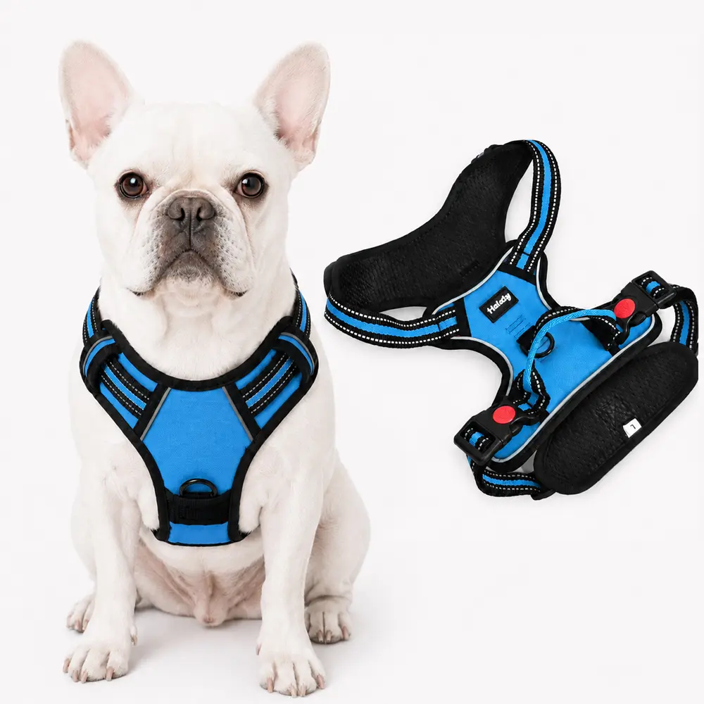 Helety Reflective Dog Vest Harness for Active Walks - Breathable Padded Adjustable No-Pull Design with Quick Release Buckles, Leash D-Ring for Small, Medium, Large Dogs