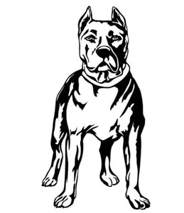 pitbull dog pet vinyl decal sticker 5" car decor bumper sticker