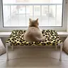Cat Hammock Single-Layer Breathable Pet Bed, Ideal for Small Dogs, Indoor/outdoor Outside Home Use, Comfortable Cat Stand for Window Sill or Balcony