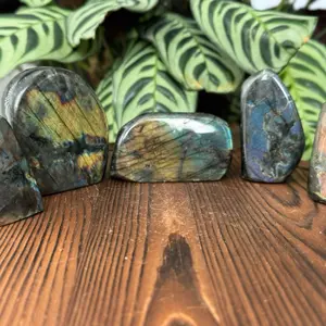 Flashy Labradorite Polished Freeform’s