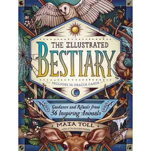 The Illustrated Bestiary by Maia Toll, Kate O’Hara [Hardcover Book]