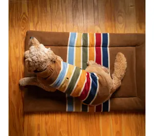 Pendleton Medium Joshua Tree National Park Comfort Cushion