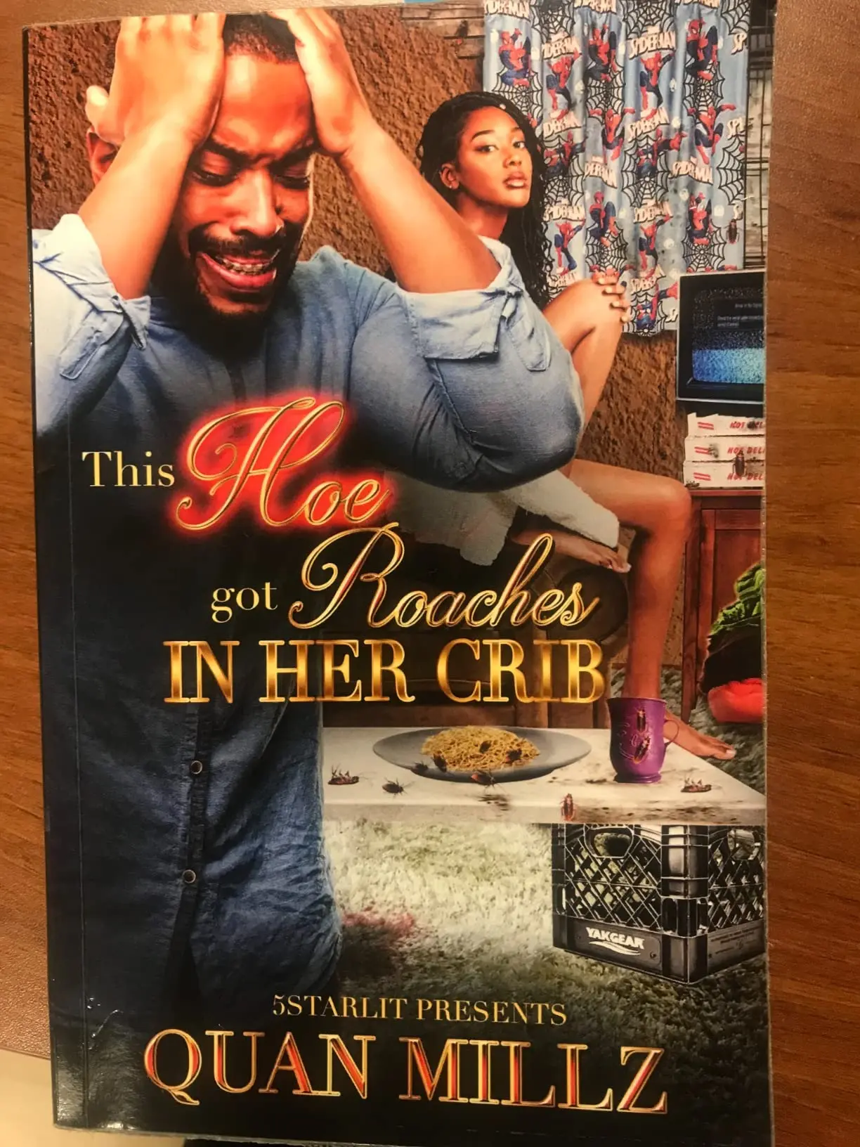 "This Hoe Got Roaches In Her Crib: An Urban Satire Paperback Chronicle of a Manipulative Ratchet Woman, Urban Fiction, Dark Comedy, Satirical Fiction"