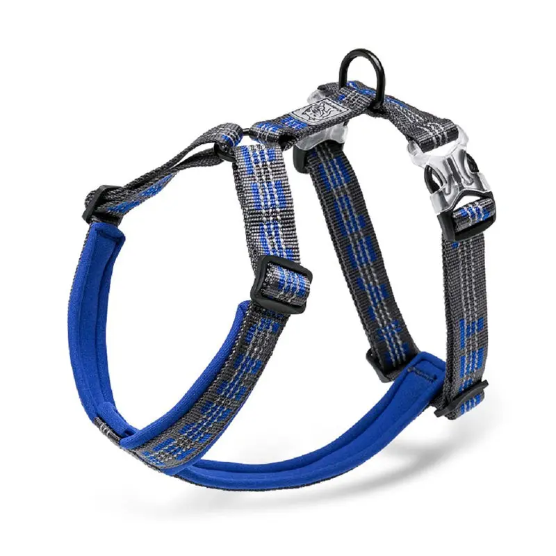 Trail Runner Y-Shaped No-Pull Dog Harness — Final Stock 50% Off