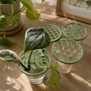 Monstera Plant Propagation Lid