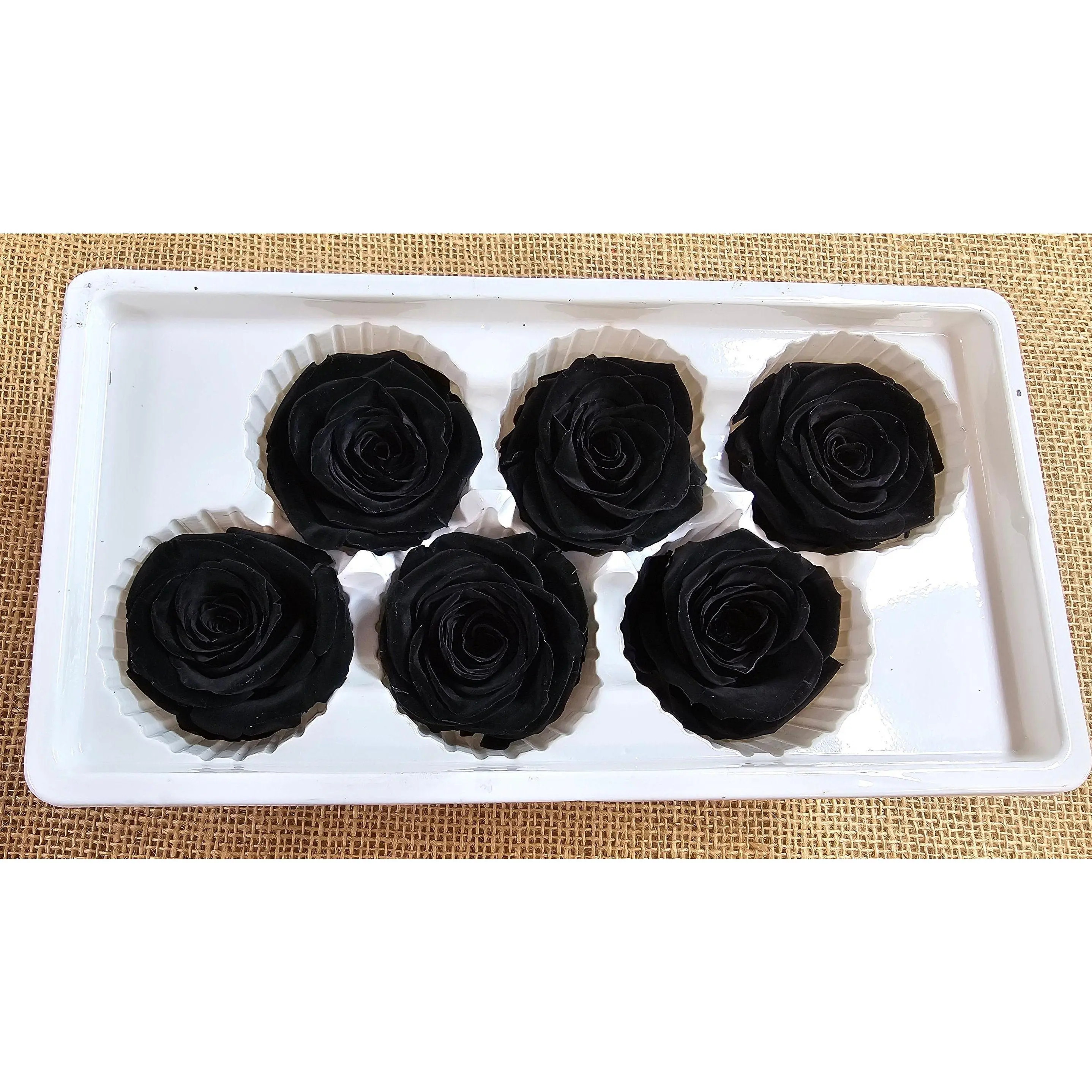 6 Rose Large in Black color, floral arrangements, Black Wedding roses, Preserved roses, preserved flowers, Wedding decor