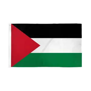 Palestine Flag 2x3ft Poly