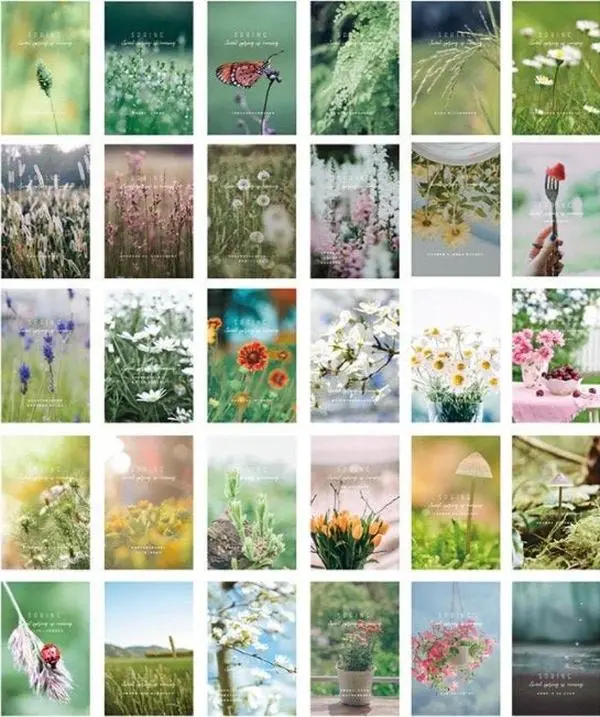 Spring Time Mood Aesthetic - Large LOMO Card for Scrapbooking